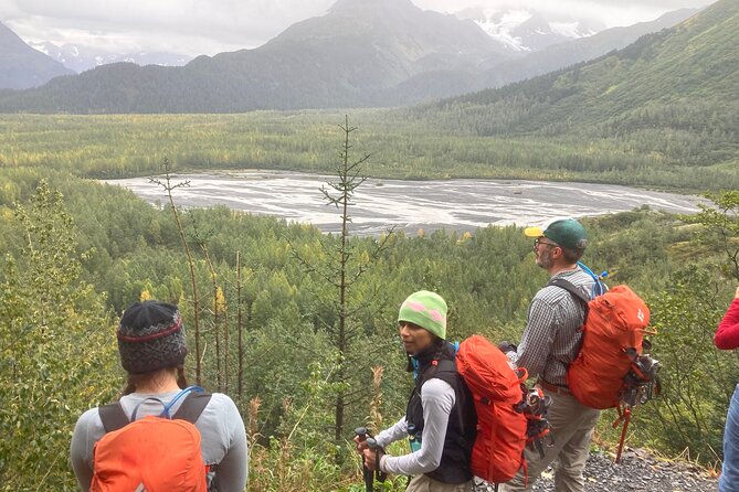 Seward Wilderness Hiking - Stop-by-Stop: Harding Ice Field Trail to Kenai Fjords Views