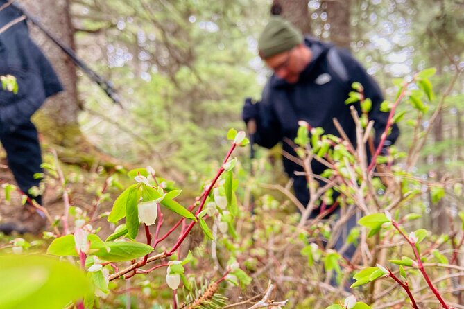 Seward Wilderness Hiking - What the Small Group Really Improves