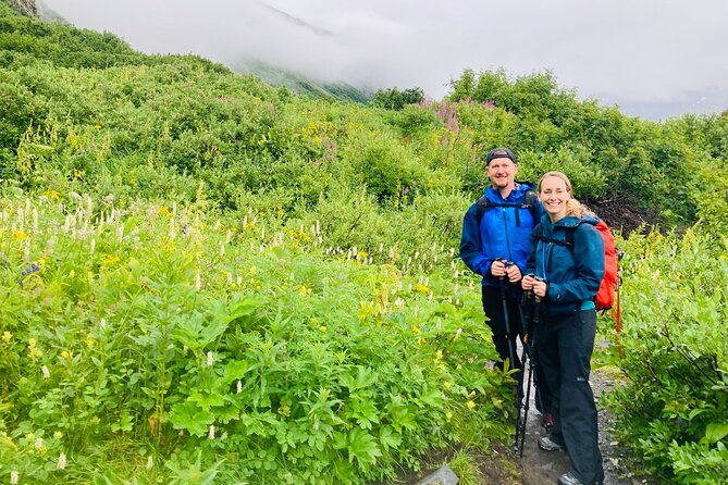 Seward Wilderness Hiking - For Whom This Tour Is a Great Match