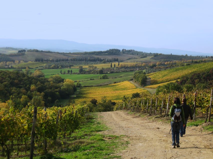 Siena: Half-day Guided Hike to Monteriggioni - The 08:55 Meeting Point: What to Do First in Siena