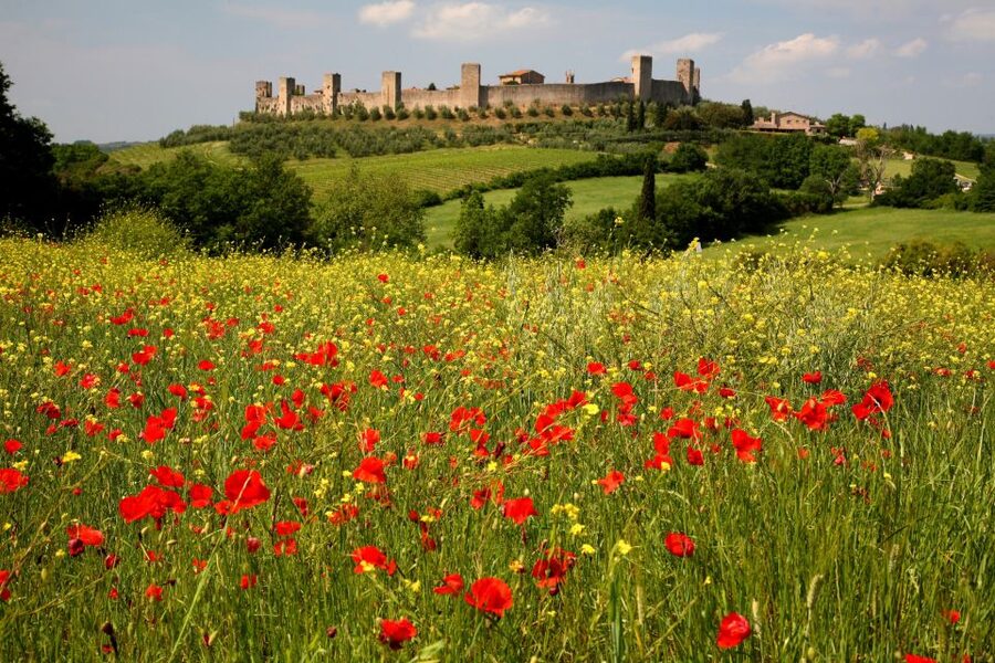 Siena: Half-day Guided Hike to Monteriggioni - What Monteriggioni Brings to the Day: Fortress Walls and a Medieval Town