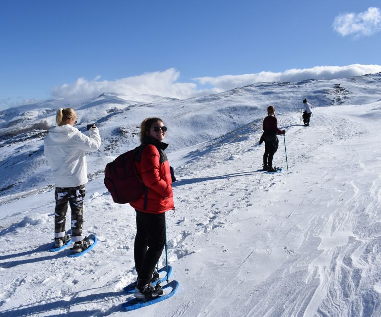 Sierra Nevada: Snowshoe Hiking Tour - Quick Take: What’s Great About This Snowshoe Hike