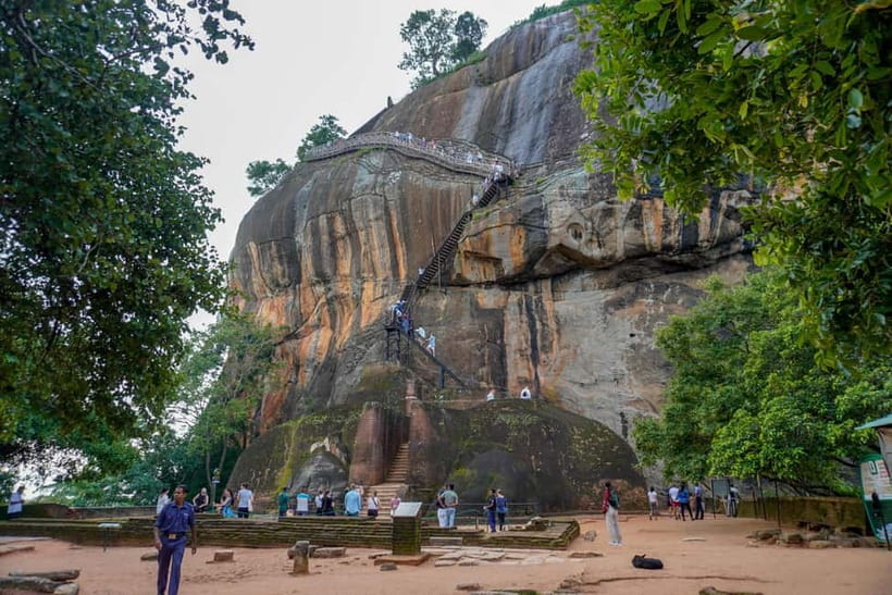 Sigiriya Lion Rock Hike & Minneriya National Park Safari - Transport Quality and Guide Team: Why the Best Reviews Mention Names
