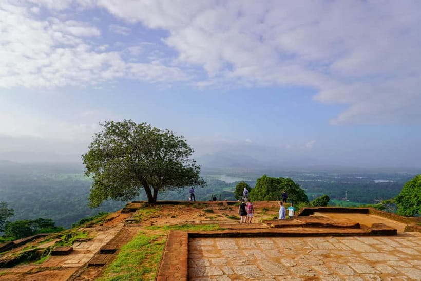 Sigiriya Lion Rock Hike & Minneriya National Park Safari - Who This Tour Fits (and Who Should Skip It)