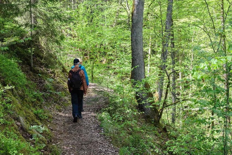 Sigulda Hiking Tour: A Day in the Switzerland of Latvia - Sigulda, Krimulda, and Turaida: Latvia’s Switzerland Feeling