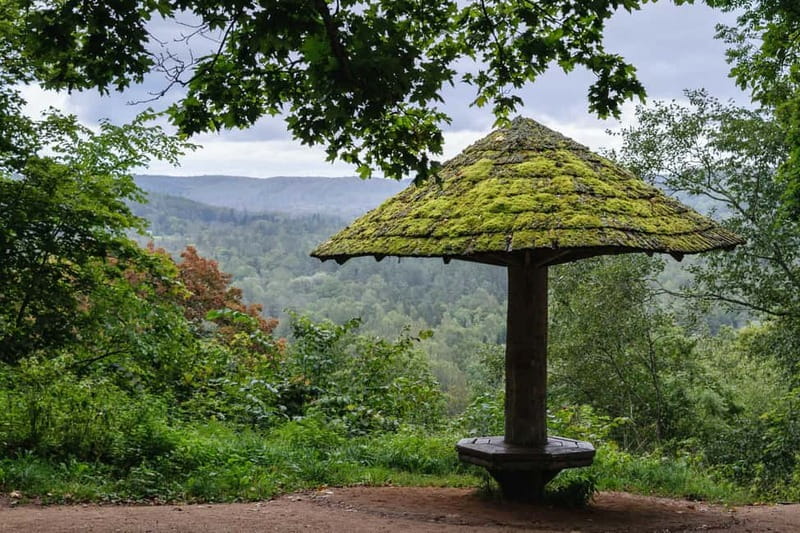 Sigulda Hiking Tour: A Day in the Switzerland of Latvia - Old and New Sigulda Castles: Ruins With a View