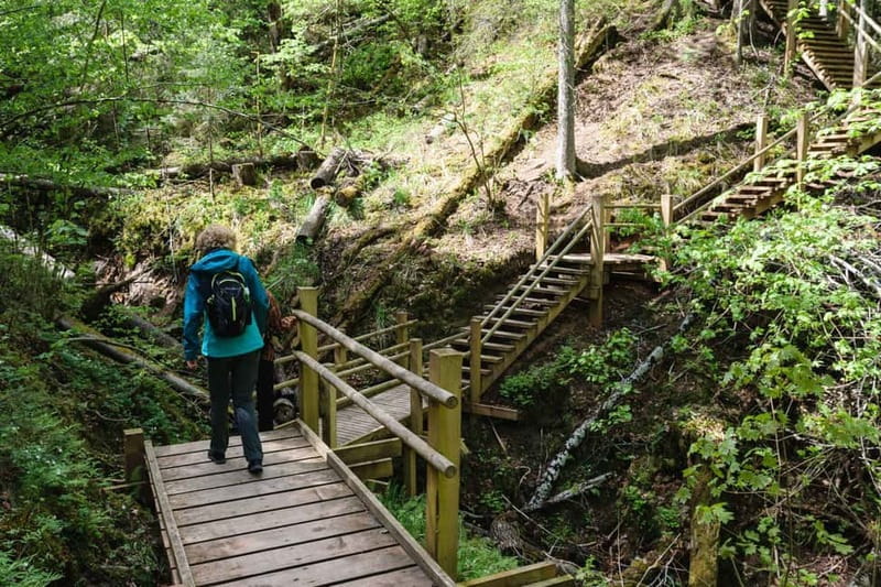Sigulda Hiking Tour: A Day in the Switzerland of Latvia - 7 Hours and 15 Kilometers: A Day Hike You Can Pace