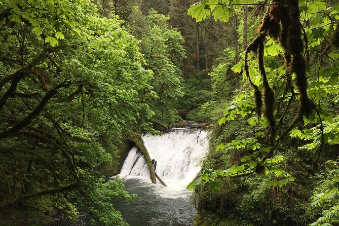 Silver Falls Waterfall Hiking Tour from Portland - Mt. Angel: A Bavarian-Style Town With Octoberfest Energy