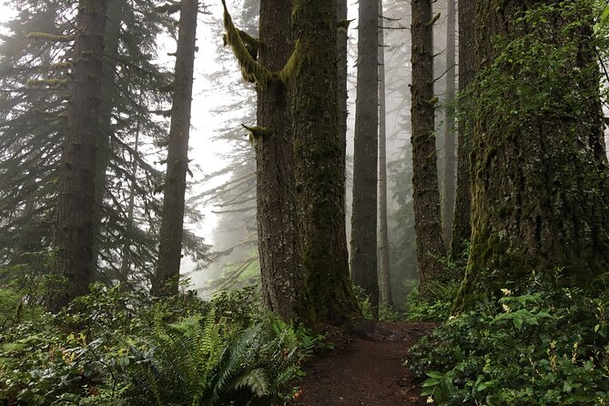 Silver Falls Waterfall Hiking Tour from Portland - Price and Value: What You’re Really Paying For