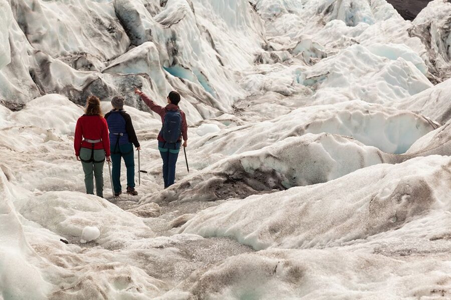 Skaftafell: Extra-Small Group Glacier Hike - Walking Falljökull: What You’ll See on the Ice