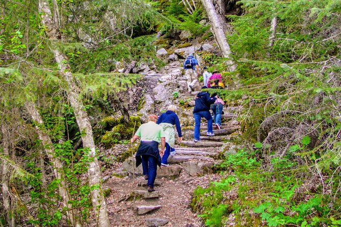 Skagway Shore Excursion Chilkoot Trail Hike and Float Tour - A smart shore excursion mix: hike first, float later