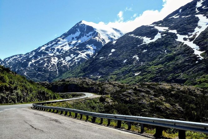 Skagway Shore Excursion: White Pass Summit and Skagway City Tour - The Klondike Highway drive: White Pass Railroad and trail views