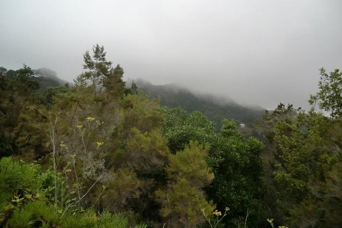 Small Group Guided Hiking in Anaga Rural Park in Tenerife - Where this hike begins in Tenerife (and how the timing feels)