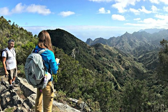 Small Group Guided Hiking in Anaga Rural Park in Tenerife - Price and value: is $67 a fair deal?