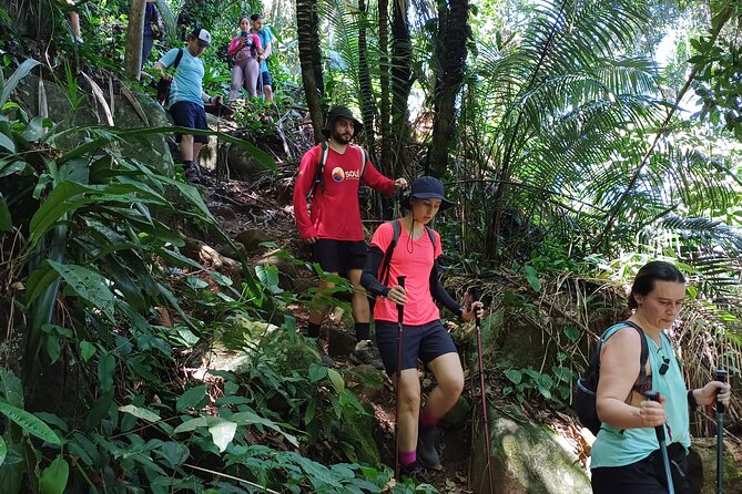 Small Group Hike to Saco Bravo Waterfall - The hike rhythm: about 8.4 km with a moderate effort