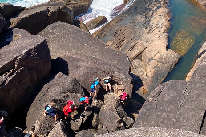 Small Group Hike to Saco Bravo Waterfall - On the trail: rainforest, streams, and why guide skill matters