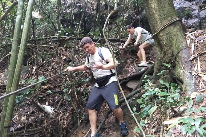 Small-Group Jungle Hiking Excursion in Khao Phra Teaw Park - The 9:00 a.m. Rhythm: How the 6 Hours Usually Play Out