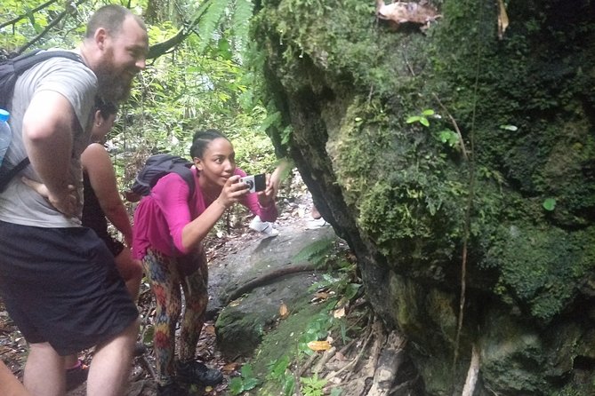 Small-Group Jungle Hiking Excursion in Khao Phra Teaw Park - Ton Sai Waterfall: The Rocky Trail to a Refreshing Pool