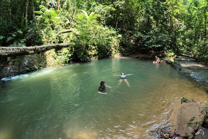 Small-Group Jungle Hiking Excursion in Khao Phra Teaw Park - Bang Pae Waterfall at the End: Finishing Strong With a Dip