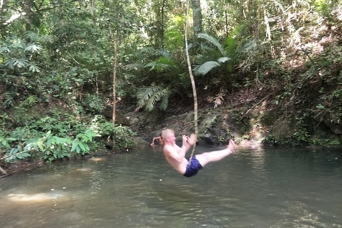 Small-Group Jungle Hiking Excursion in Khao Phra Teaw Park - Thai Lunch Included: Local Flavor That Actually Feels Worth It