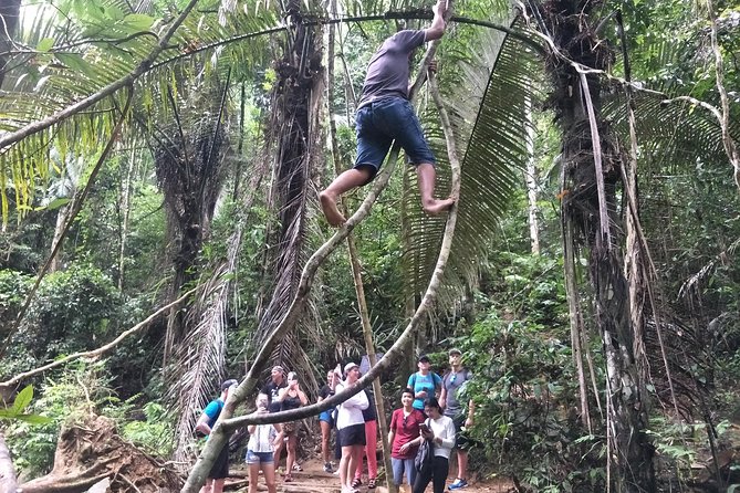 Small-Group Jungle Hiking Excursion in Khao Phra Teaw Park - What to Wear and Bring: The Practical Stuff That Saves Your Trip