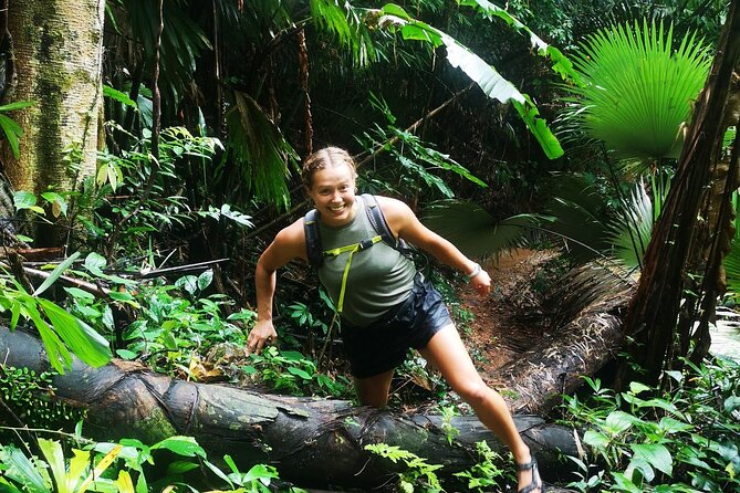 Small-Group Jungle Hiking Excursion in Khao Phra Teaw Park - Gear for the Jungle + Dry Season Reality: When Water Looks Different
