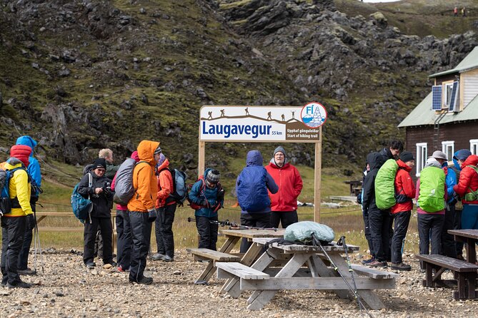 Small Group Landmannalaugar Hike and Hot Springs: Reykjavik/Hella - Key highlights you’ll feel right away