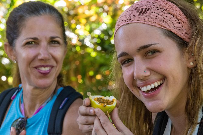 Small Group Waterfall and Rainforest Hiking Adventure on Maui - Lunch and snacks: fuel that doesn’t ruin the hike