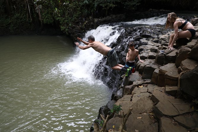 Small Group Waterfall and Rainforest Hiking Adventure on Maui - Guides and group size: small enough for care, big enough for fun
