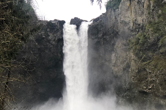 Snoqualmie falls and Twin Falls Hike - Key things that make this tour worth your time