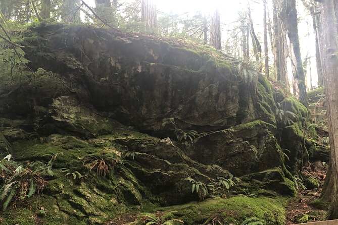 Snoqualmie falls and Twin Falls Hike - Seattle pickup and the small-group rhythm (max 10)