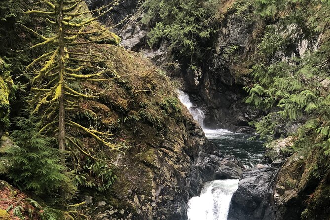 Snoqualmie falls and Twin Falls Hike - The storytelling edge: naturalist-led facts plus paranormal fun