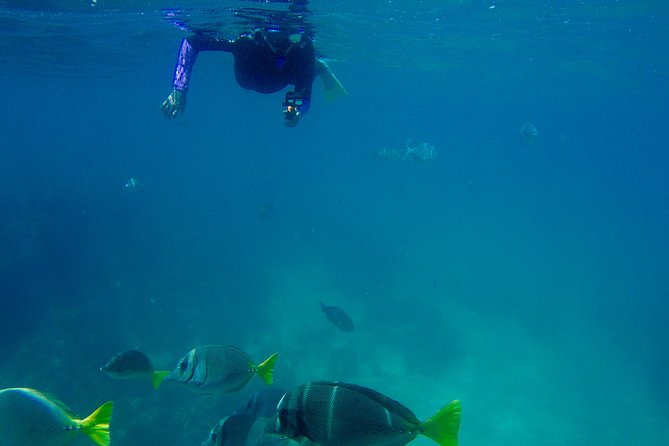 Snorkel Adventure and Hike to a Hidden Beach - Snorkeling Out to the Reef: Time in Water, Not Time in Lines