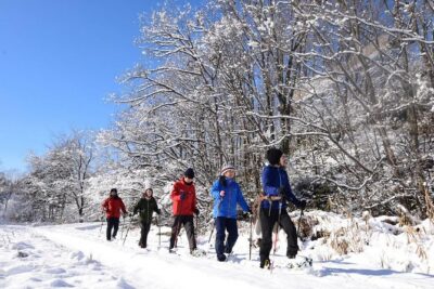 Snowshoe Hike Tour from Sapporo include hotel p/up & drop off - The Jozankei Onsen stop: soaking after you cool down