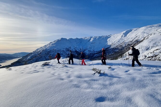 Snowshoe hiking in Bergen - Public tour - Key things I’d mark on your mental map
