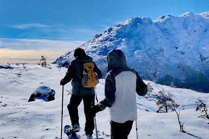Snowshoe hiking in Bergen - Public tour - Included Warm Drink and Norwegian Snacks: Small Details That Matter