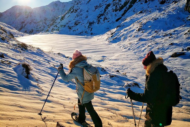 Snowshoe hiking in Bergen - Public tour - Price and Group Size: Is $246.38 Worth It?