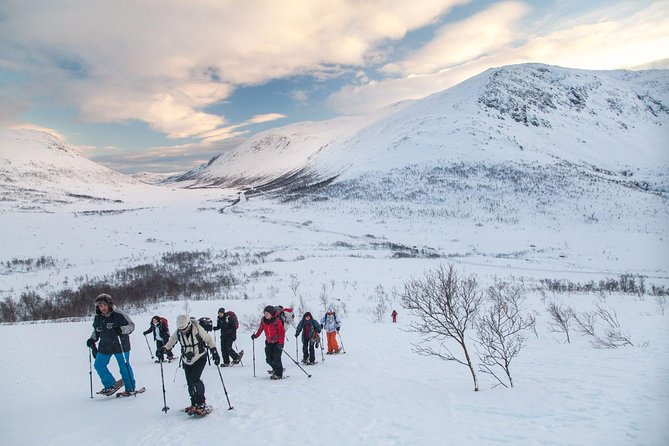 Snowshoe Hill Hike in Tromsø - Key highlights you’ll care about