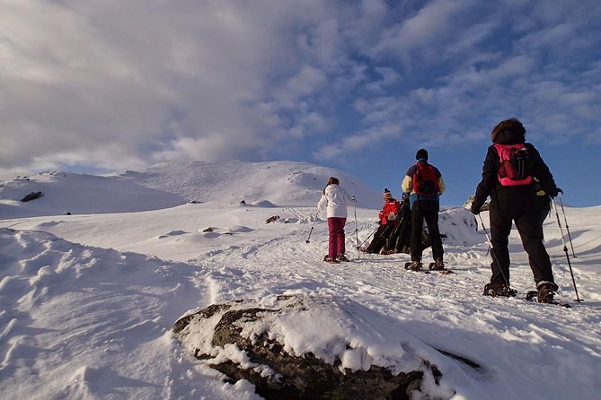 Snowshoe Hill Hike in Tromsø - Snowshoe basics: why the lesson changes everything