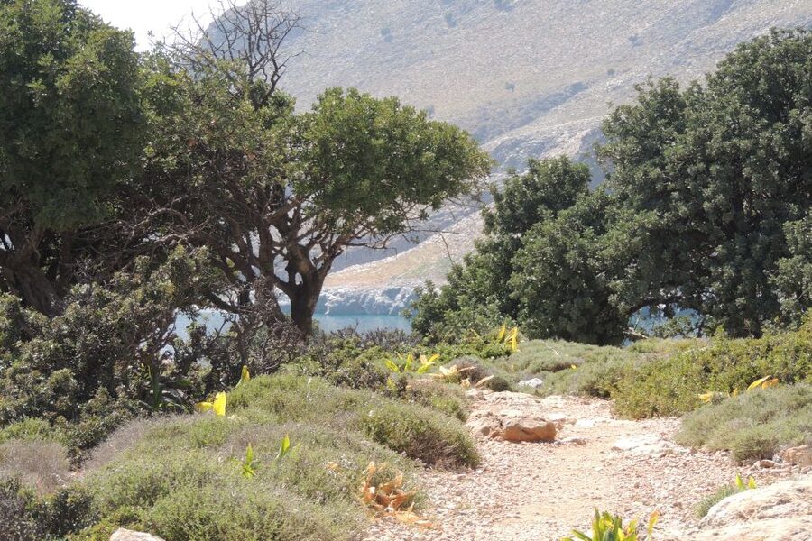 South Crete: Sarakinas Gorge Hike, Swim & Jeep Safari - Jeep safari style: the trade-off between action and comfort