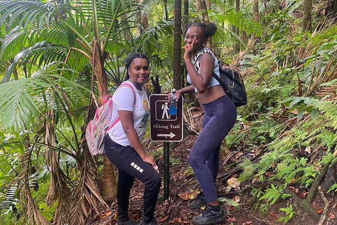 St.Kitts Volcano Hike To Mt. Liamuiga (Highest Peak On Island) - How hard is it, really? Matching the climb to your fitness