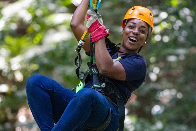 St Lucia Ultimate 3: Aerial Tram, Zipline and Hiking at Rainforest Adventures - The guided hike: short, but it turns the rainforest on