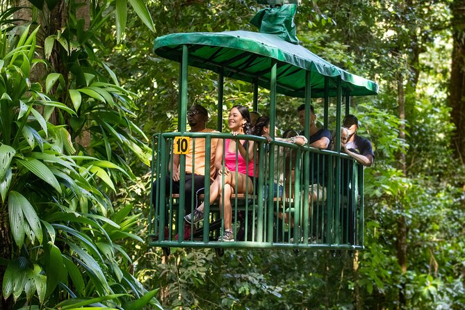 St Lucia Ultimate 3: Aerial Tram, Zipline and Hiking at Rainforest Adventures - Timing and transitions: how the 5 hours usually feel