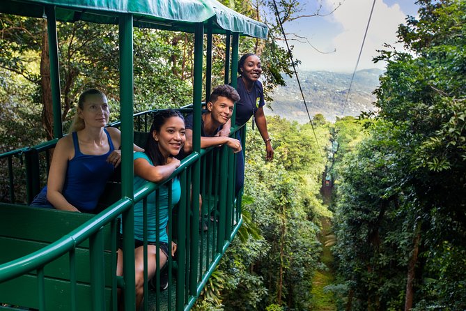 St Lucia Ultimate 3: Aerial Tram, Zipline and Hiking at Rainforest Adventures - Price and value: is $115 a good deal?