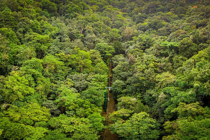 St Lucia Ultimate 3: Aerial Tram, Zipline and Hiking at Rainforest Adventures - Safety, comfort, and who should think twice