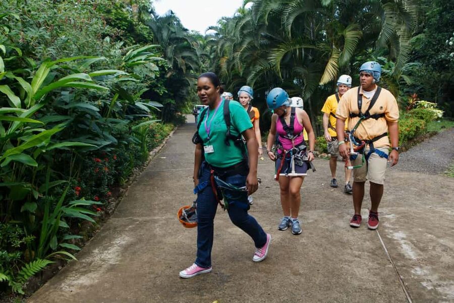 St Lucia Ultimate 3 Package: Aerial Tram Zip Line & Hiking - Why This Tour Feels Like Three Different Trips