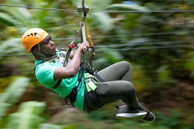 St. Lucia Zip line, Aerial Tram and Hiking tour Ultimate 3 - The aerial tram ride: quiet rainforest from above