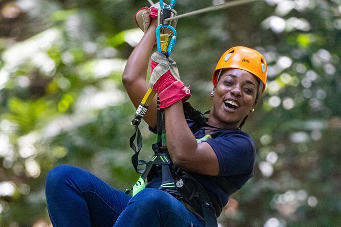 St. Lucia Zip line, Aerial Tram and Hiking tour Ultimate 3 - The guided hikes: short walks that add real rainforest context