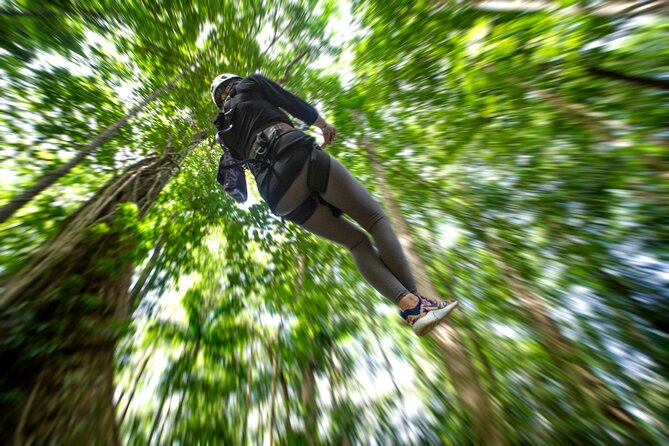 St. Lucia Zip line, Aerial Tram and Hiking tour Ultimate 3 - Zipline course reality: harness time, training, then multiple flying runs