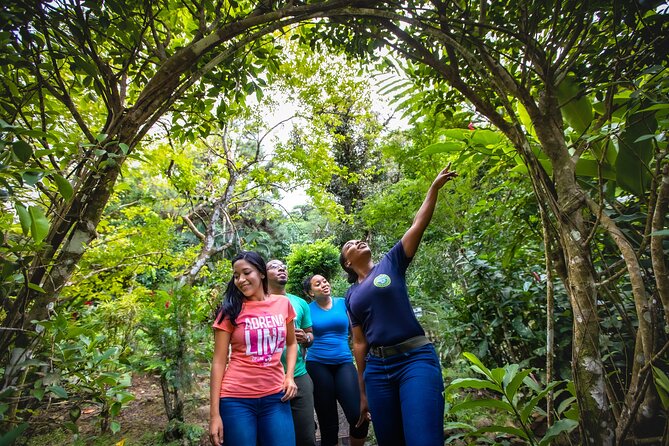 St. Lucia Zip line, Aerial Tram and Hiking tour Ultimate 3 - Second tram ride and those northern St Lucia views